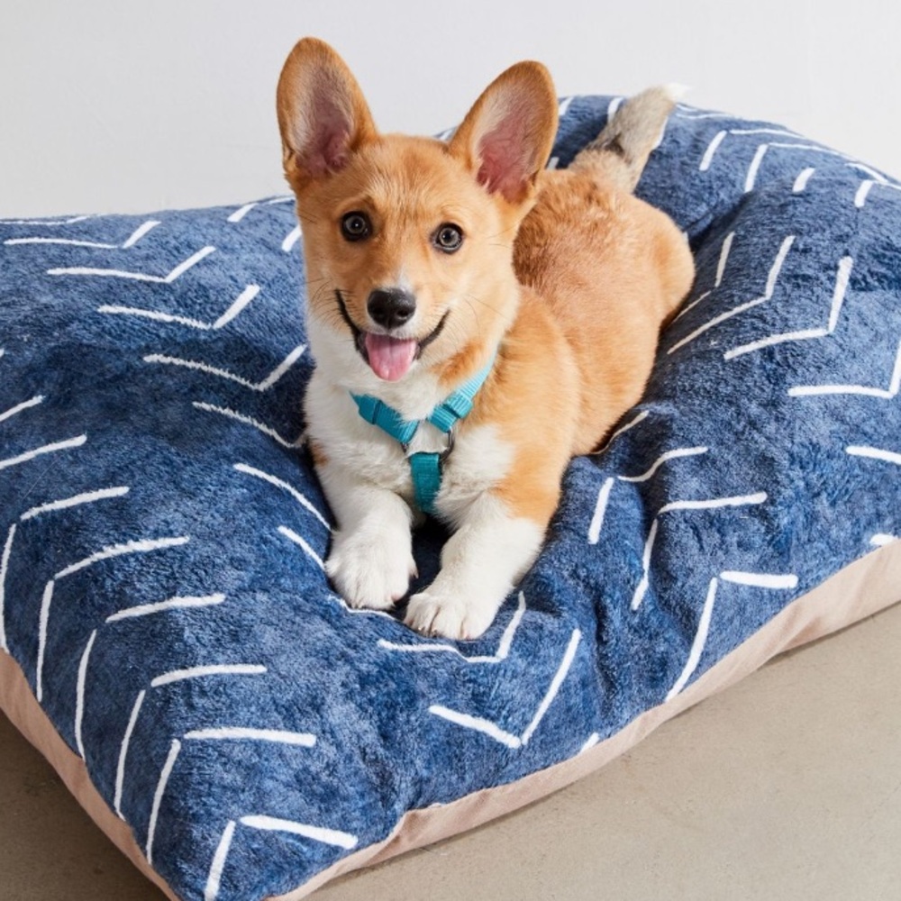 🦴 {NWOT} Becky Bailey For Deny Big Arrows Pet Bed